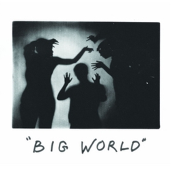 Happy Diving Big World Vinyl LP