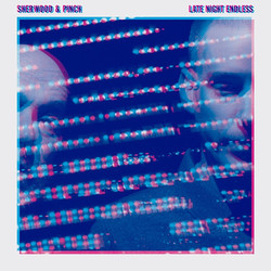 Adrian Sherwood / Pinch (2) Late Night Endless Vinyl LP