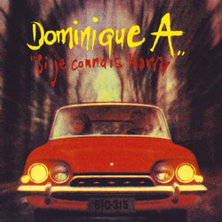Dominique A. Si Je Connais Harry Vinyl LP