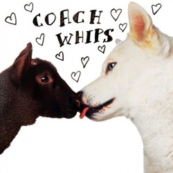 Coachwhips Bangers Vs. Fuckers Vinyl LP