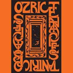 Ozric Tentacles Tantric Obstacles Vinyl 2 LP
