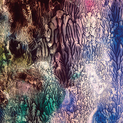The Womb (3) The Womb Vinyl LP