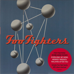 Foo Fighters The Colour And The Shape Vinyl 2 LP