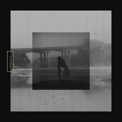 Braille (5) Mute Swan Vinyl LP