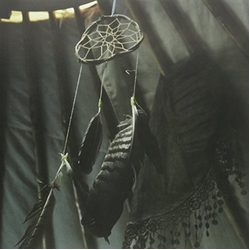 State Faults Head In The Clouds Vinyl 12"