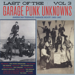 Various Last Of The Garage Punk Unknowns Vol.3 Vinyl LP