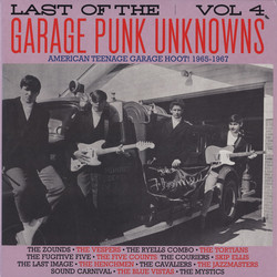 Various Last Of The Garage Punk Unknowns Vol 4 (American Teenage Garage Hoot! 1965-1967) Vinyl LP