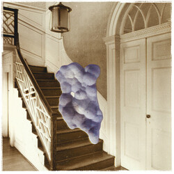 Sweet John Bloom Weird Prayer Vinyl LP