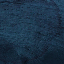 Multicast Dynamics Aquatic System Vinyl LP