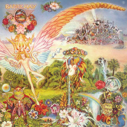 Barry Hay Only Parrots, Frogs And Angels Vinyl LP