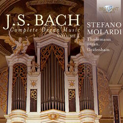 Johann Sebastian Bach / Stefano Molardi Complete Organ Music, Volume 4 Vinyl LP
