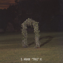 S. Araw "Trio" XI Gazebo Effect Vinyl 2 LP