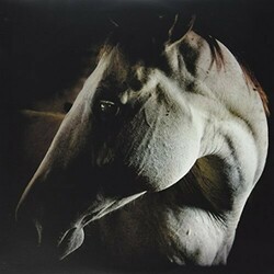 Brother Dege How To Kill A Horse Vinyl LP