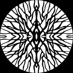 Pfirter Procyon Vinyl 12"