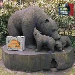 Various 40!!! Years Bear Family Records Vinyl LP