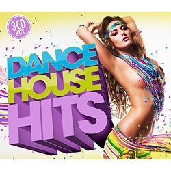 Various Dance House Hits Vinyl LP