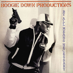 Boogie Down Productions By All Means Necessary Vinyl LP