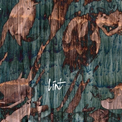 Línt Then They Came For Us Vinyl LP