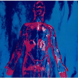 Nirvana Sliver Vinyl LP