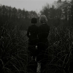 Goldmund Sometimes Vinyl LP