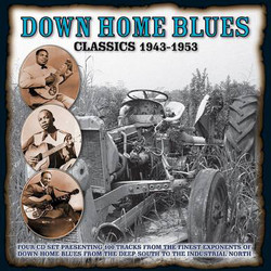 Various Down Home Blues Classics Volume 1 1943-1953 Vinyl LP