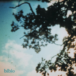 Bibio Fi Vinyl 2 LP