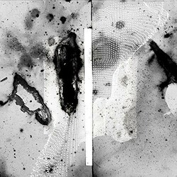 Certain Creatures Vipassana Vinyl 2 LP