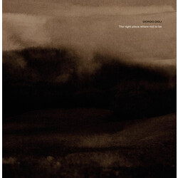 Giorgio Gigli The Right Place Where Not To Be Vinyl LP