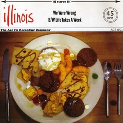 Illinois We Were Wrong Vinyl LP