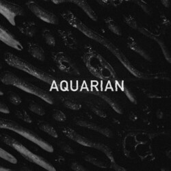 Aquariana Aquarian Vinyl 12"