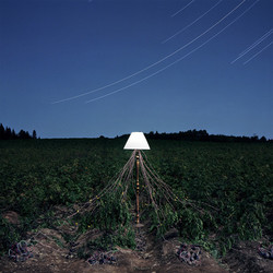 Beacon (4) Escapements Vinyl LP