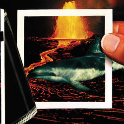 The Thermals We Disappear Vinyl LP