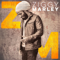 Ziggy Marley Ziggy Marley Vinyl LP