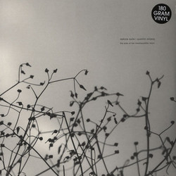 Dakota Suite / Quentin Sirjacq The Side Of Her Inexhaustible Heart Vinyl 2 LP