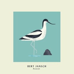 Bert Jansch Avocet Vinyl LP