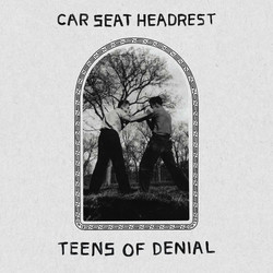 Car Seat Headrest Teens Of Denial Vinyl 2 LP