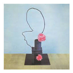 Methyl Ethel Oh Inhuman Spectacle Vinyl LP