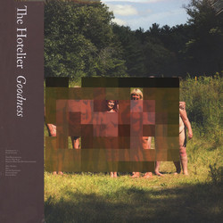 The Hotelier Goodness Vinyl LP