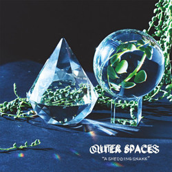 Outer Spaces A Shedding Snake Vinyl LP