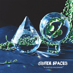 Outer Spaces A Shedding Snake Vinyl LP