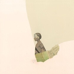 Mock Orange Put The Kid On The Sleepy Horse Vinyl LP