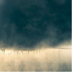 Oneirogen Convivium Vinyl LP