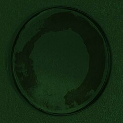 Personable Oyster vinyl LP