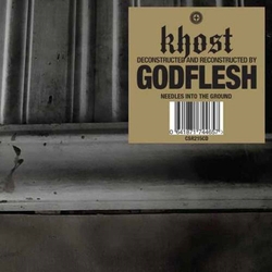 Khost / Godflesh Needles Into The Ground Vinyl LP