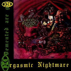Demented Are Go Orgasmic Nightmare Vinyl LP
