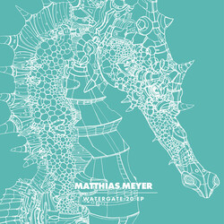 Matthias Meyer Watergate 20 EP Vinyl LP