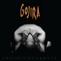 Gojira (2) Terra Incognita Vinyl 2 LP