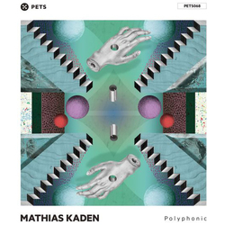 Mathias Kaden Polyphonic EP Vinyl LP