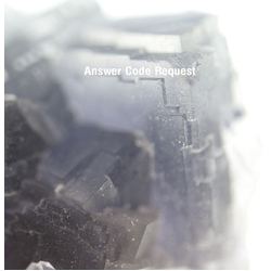 Answer Code Request Neume Vinyl LP