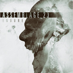 Assemblage 23 Endure Vinyl LP